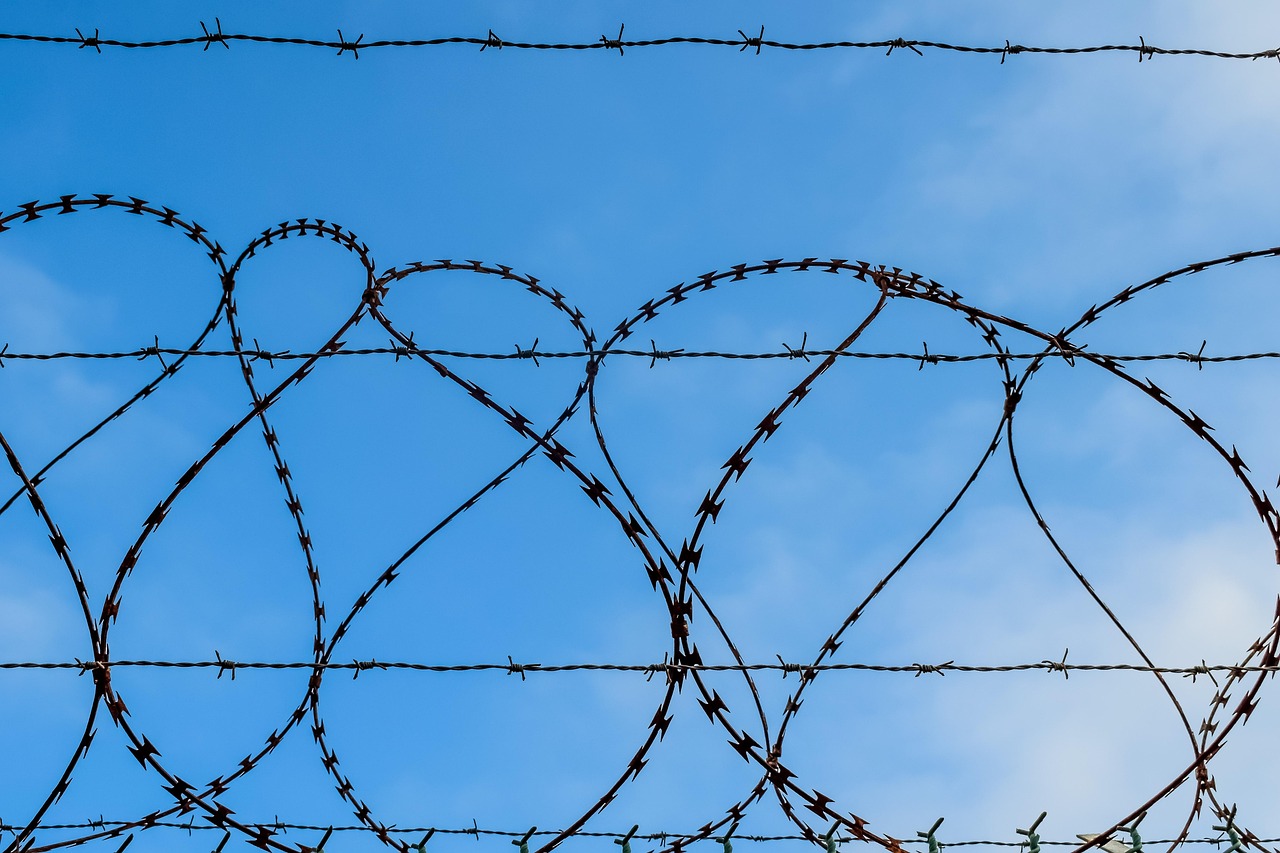 火种实名账号：乐贝贝app详情下载教程