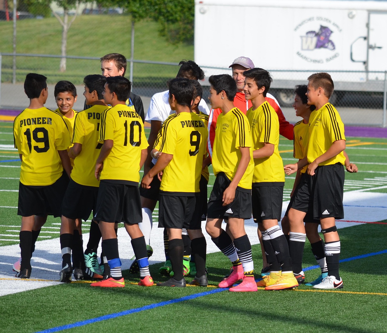 话机世界实名账号：跨境植物购买平台