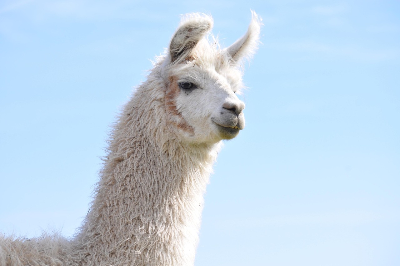 鼎点娱乐，注册|个人注册自媒体账号快看点