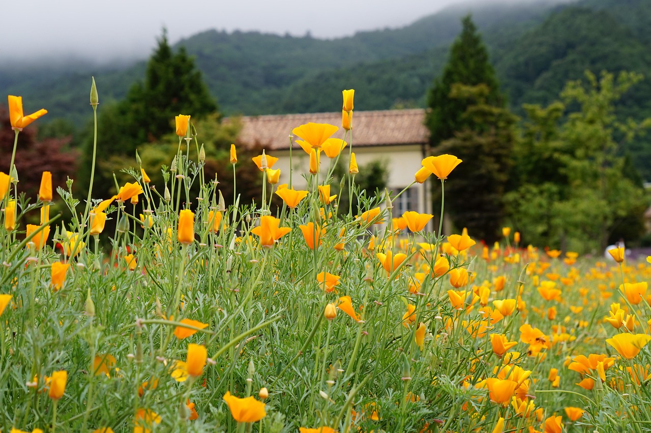 短信验证码防骗揭秘 