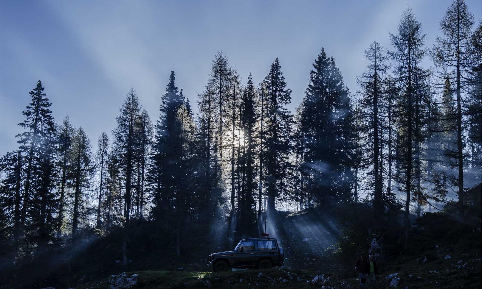 如何进行SEO和网站域名权质优化整合
